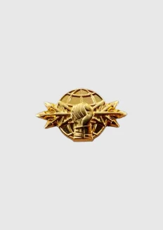 Петличный знак металлический золотистого цвета с клямером по принадлежности к войскам радиоэлектронной борьбы: купить в интернет-магазине «Армия России