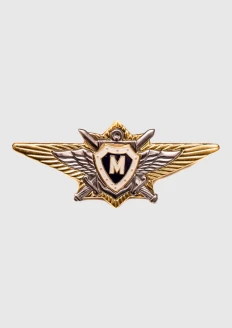 Нагрудный знак "классность офицерская"  мастер МО: купить в интернет-магазине «Армия России