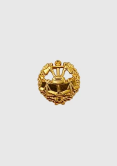 Петличный знак металлический золотистого цвета с клямером Инженерных войск: купить в интернет-магазине «Армия России